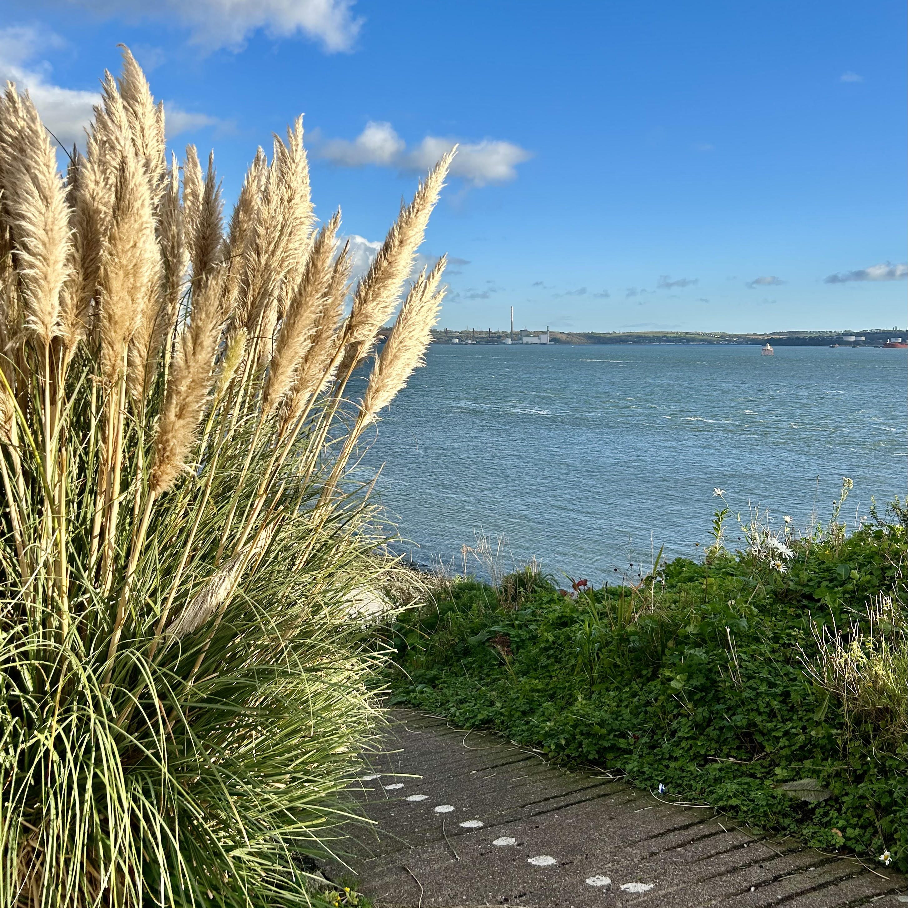Cosa vedere nei dintorni di Cork