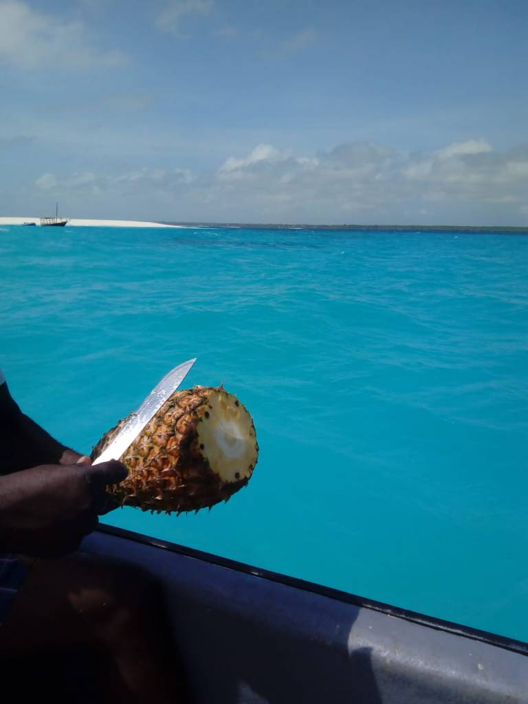 COSA VEDERE E FARE NEL MONDO