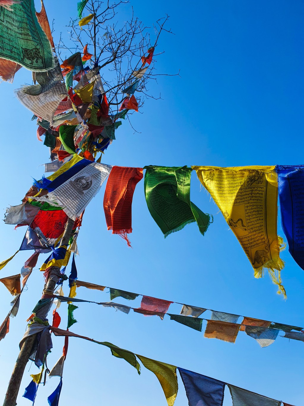 La Collina di&nbsp;Lorenzo