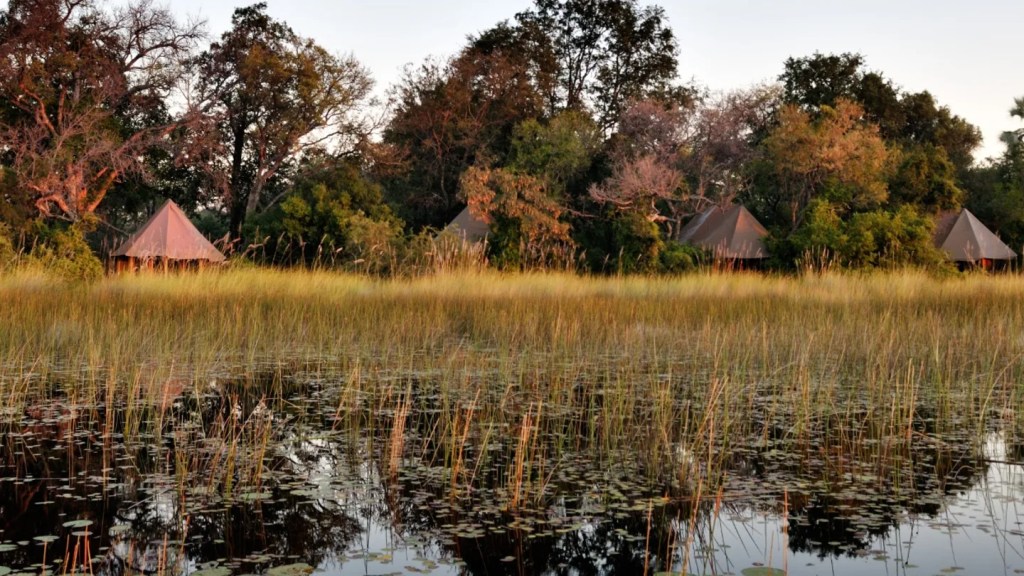 In viaggio con Taylor Swift: tutti i luoghi menzionati nelle sue canzoni