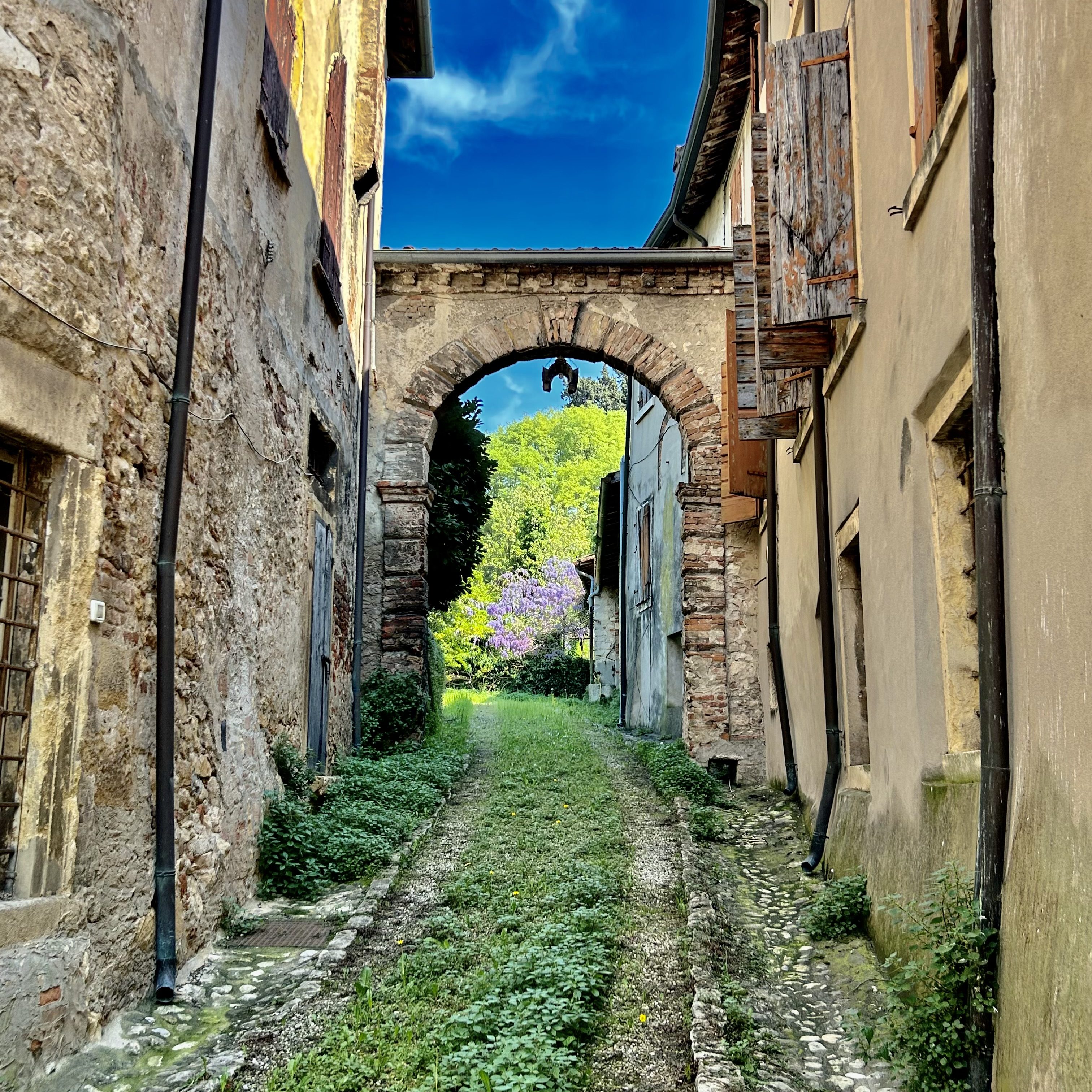 Cosa vedere a Soave in poche ore. Glicine