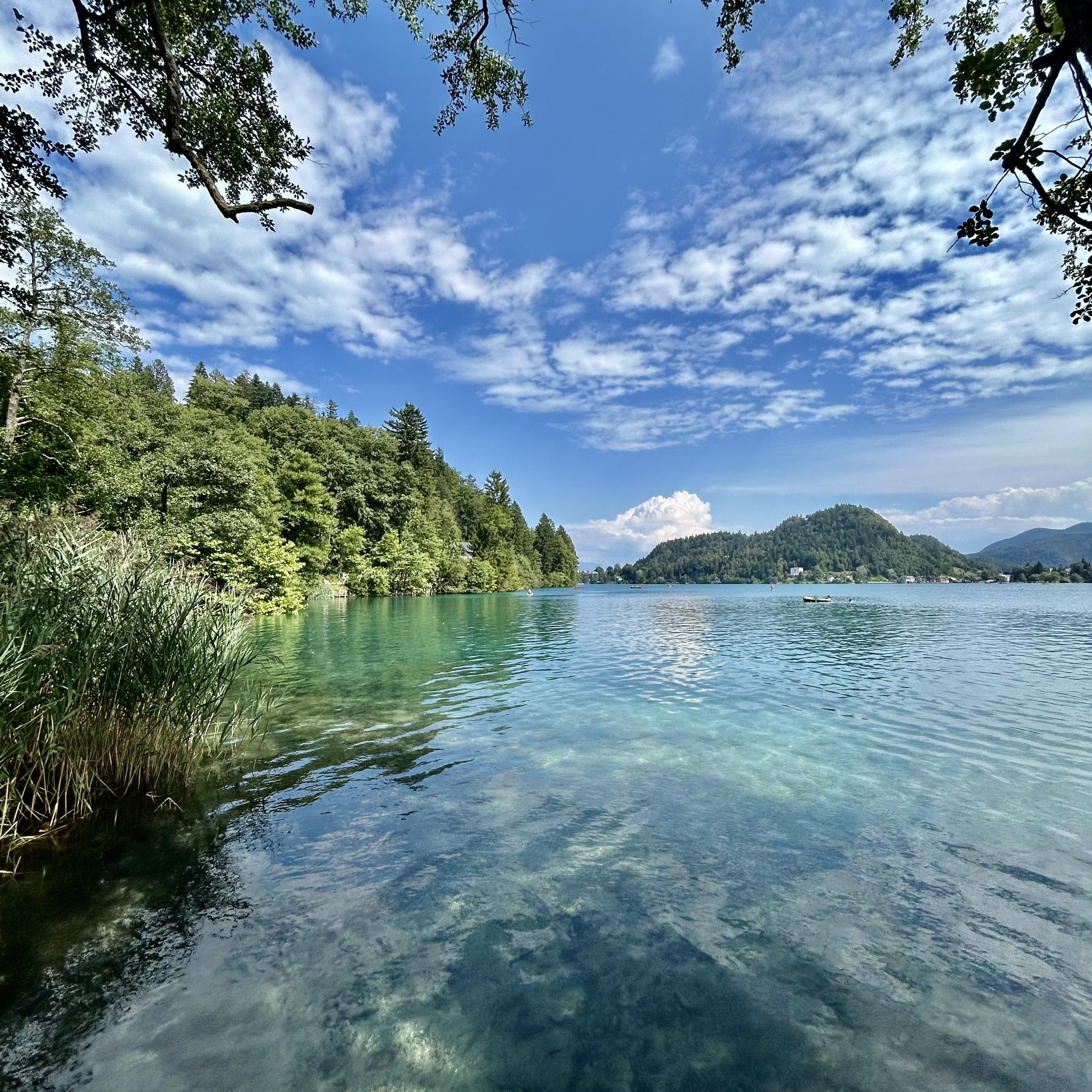 Cosa vedere al Lago di Bled in Slovenia