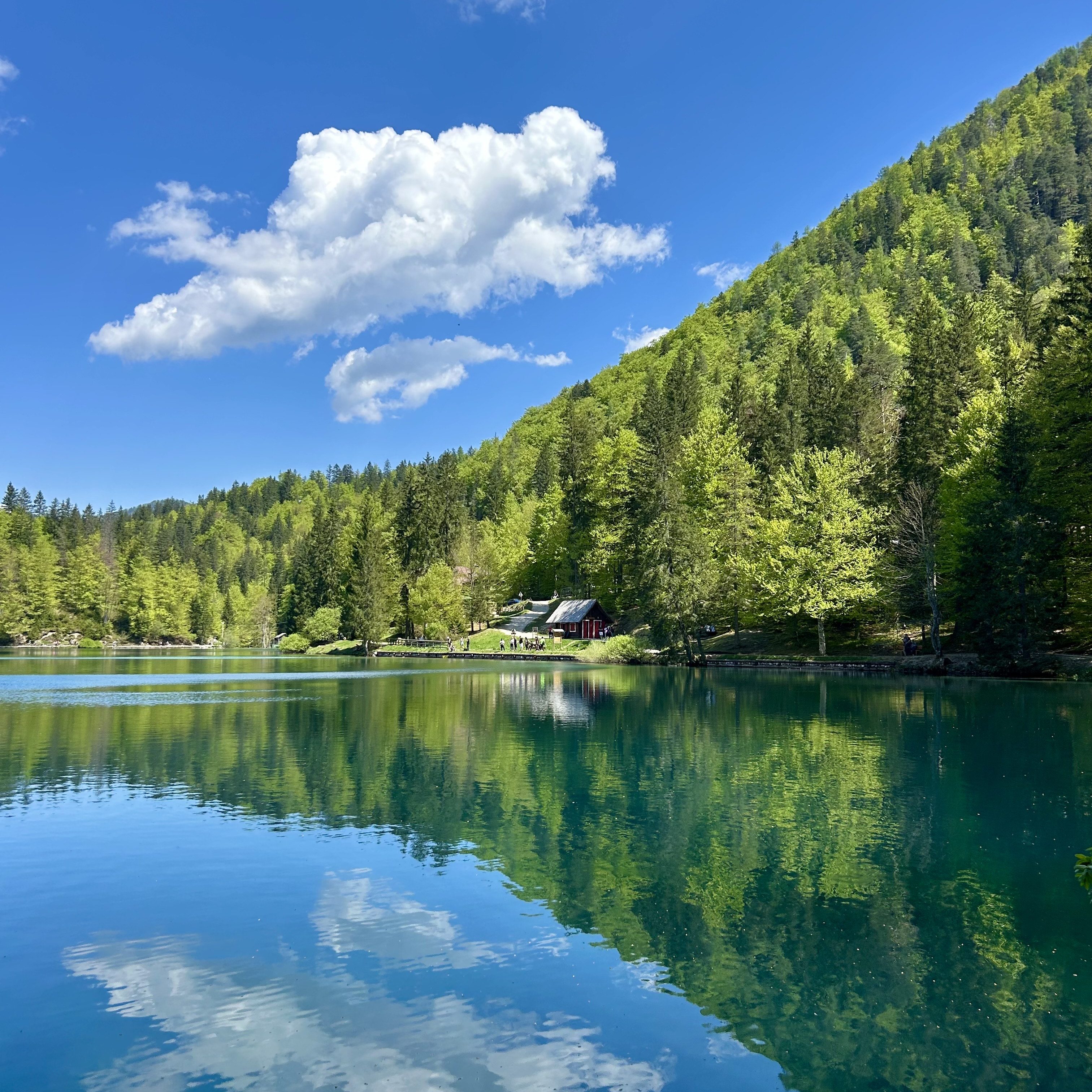 Sentieri nella natura in Friuli Venezia Giulia: Laghi di Fusine