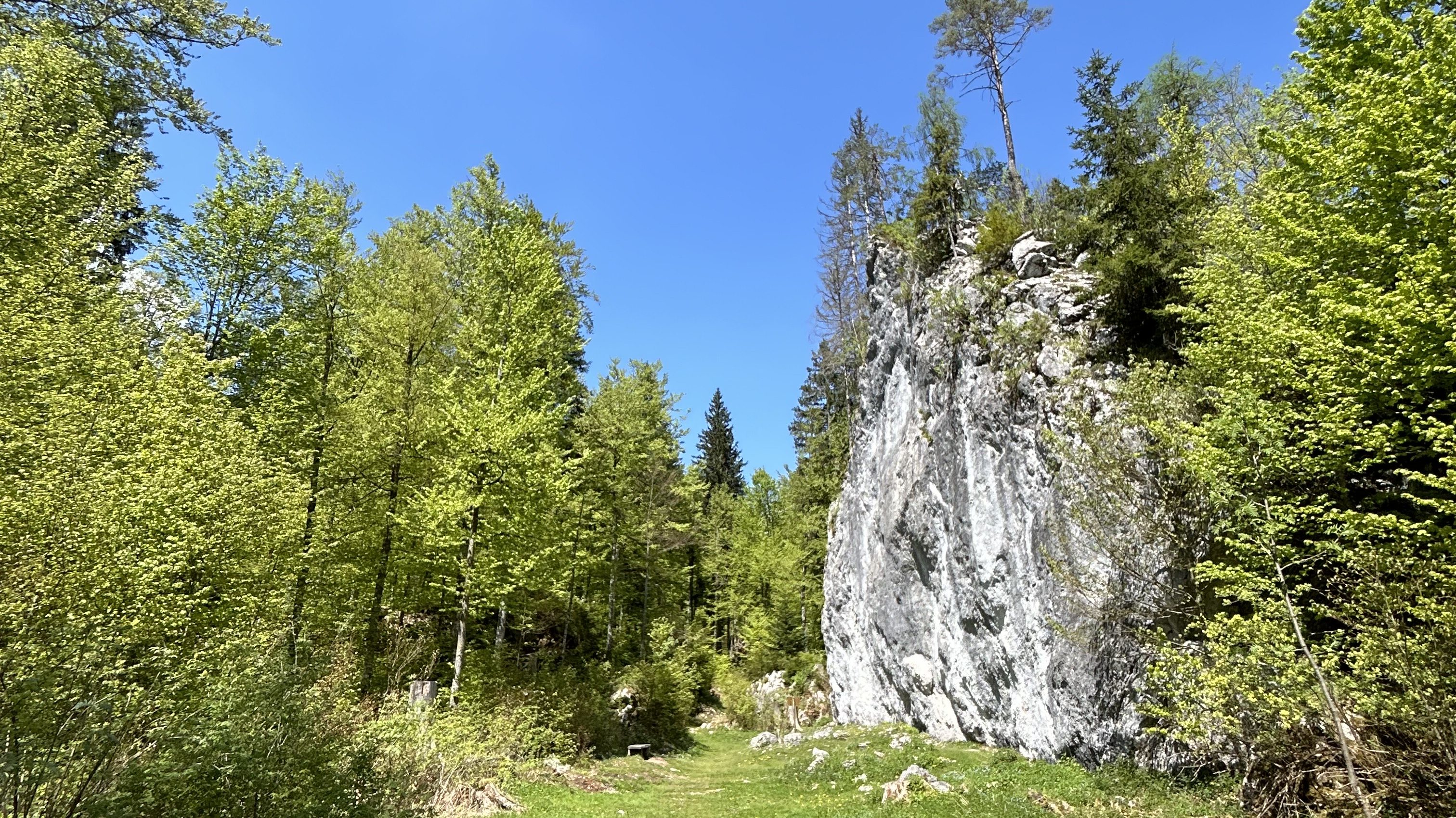 Masso erratico laghi di Fusine