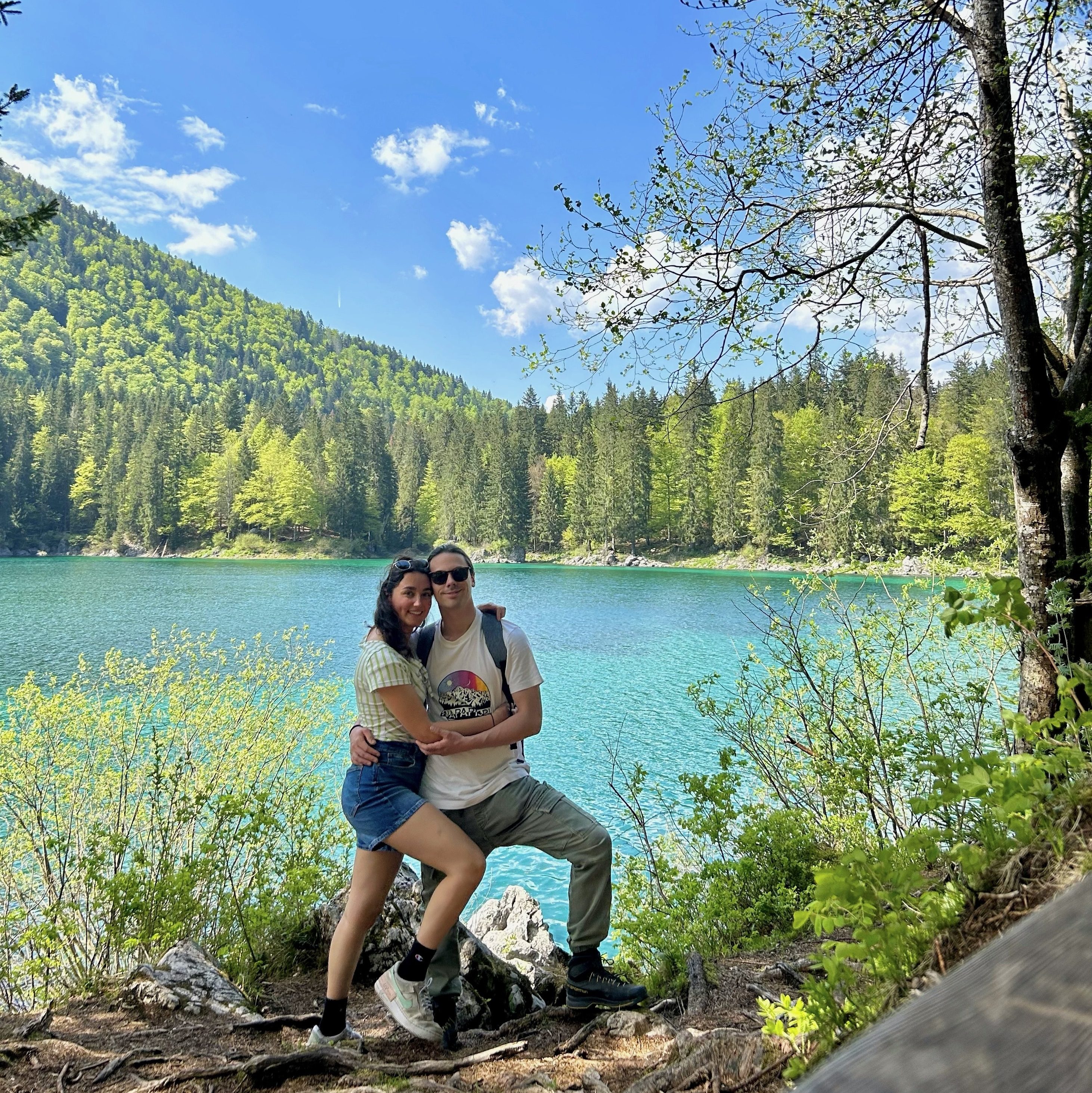 Alice in WonderWords