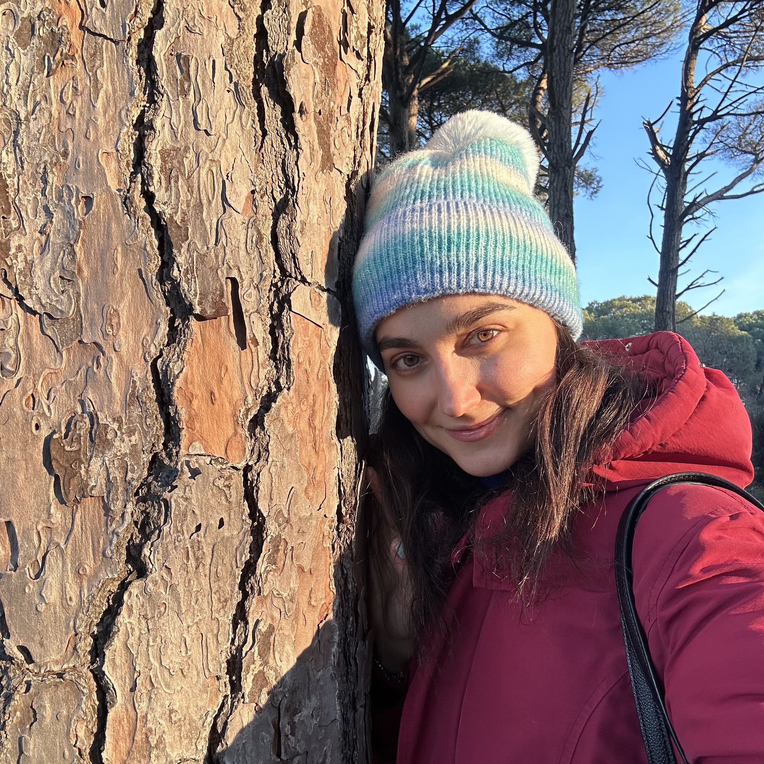 Alice in WonderWords