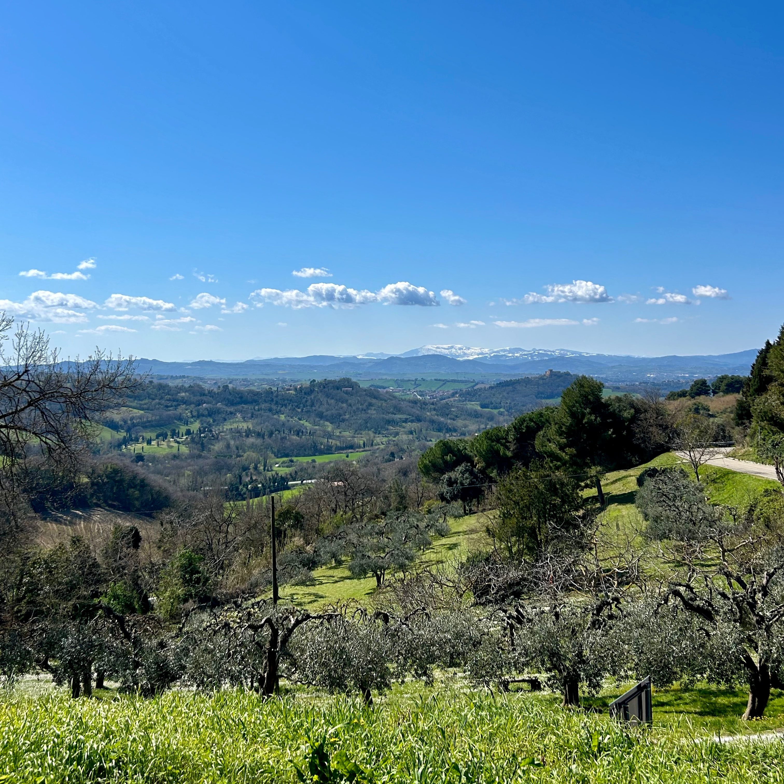 I Sentieri del Parco Naturale di San Bartolo: da Fiorenzuola al Tetto del Mondo